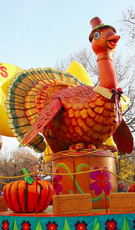 Happy Thanksgiving Canada, Macys Thanksgiving Day Parade, Thanksgiving Canada, Thanksgiving Countdown, Macys Thanksgiving Parade, Battle Tops, Parade's End, Banana Roll, Tom Turkey