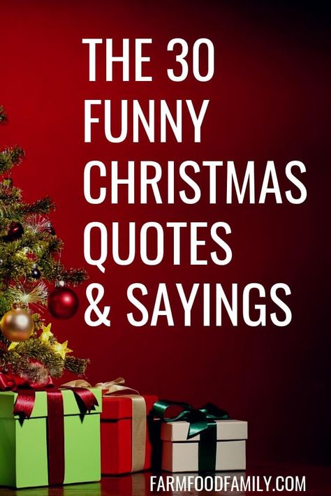 30+ Funny Christmas Quotes & Sayings That Make You Laugh Holiday Work Quotes Funny, Silly Christmas Quotes, Santa Quotes For Adults, Funny Christmas Signs Hilarious, Holiday Message Board, Sassy Christmas Quotes, Snarky Christmas Quotes, Bah Humbug Quotes, Cute Holiday Sayings