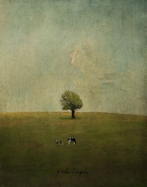 Jamie Heiden, Arte Peculiar, Moody Art, 2160x3840 Wallpaper, Fancy Art, Relaxing Art, Art Corner, Art Gallery Wallpaper, Arte Inspo