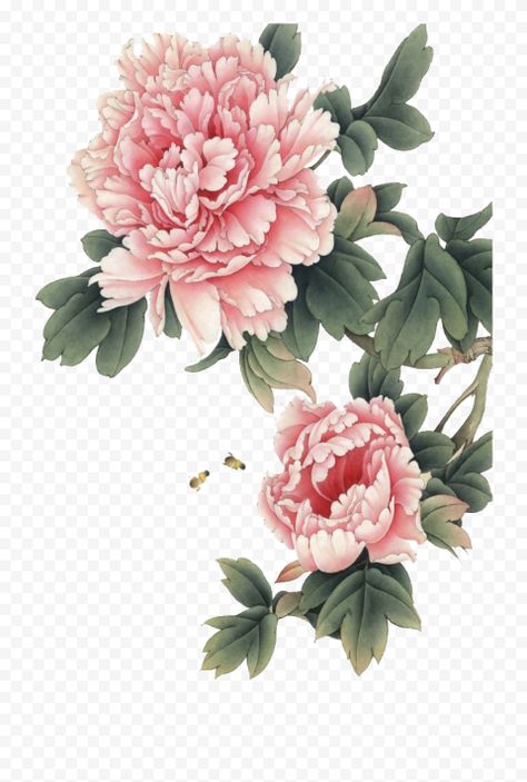 Pink Flower Illustration, Peony Illustration, Chinese Flowers, Wall Relief, Drawings Inspo, Planting Peonies, Chinese Flower, Flower Line Drawings, Ink Wash Painting