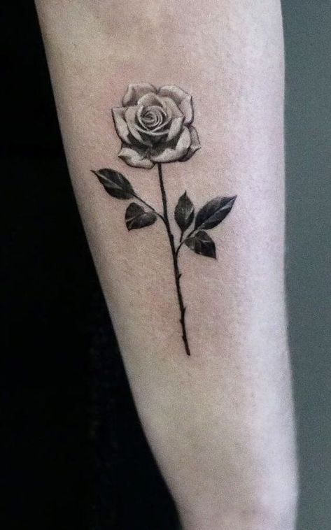 20+ Birth Flowers For June Tattoo Design Ideas For Females – EntertainmentMesh White Rose Tattoo, Black And White Rose Tattoo, Money Rose Tattoo, Geometric Rose Tattoo, Rosen Tattoo Frau, Yellow Rose Tattoos, Rose Tattoo Forearm, Watercolor Rose Tattoos, White Rose Tattoos