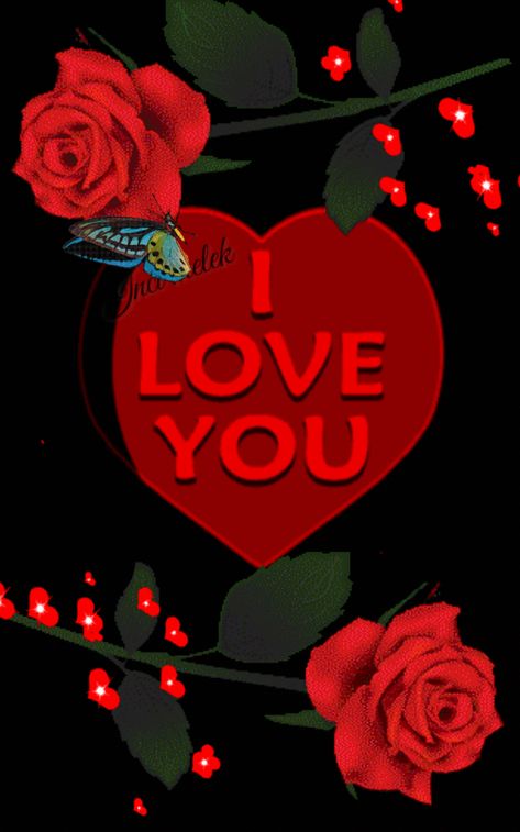 Happy Rose Day My Love, Love Rose Flower For My Wife, Beautiful Roses Gif, Happy Rose Day My Love Video, Rose With Heart Images, Mobile Samsung, Love Wallpaper For Mobile, Happy Valentines Day Gif, Happy Rose Day