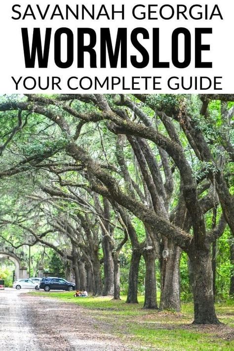 Here's your ultimate guide to visiting Wormsloe Historic Site in Savannah GA. Find out what to see and do at Wormsloe, best photo ops, and best ways to plan your Wormsloe day trip. #Wormsloe #Savannah Savannah Georgia Vacation, Savannah Georgia Travel, Georgia Vacation, Visit Savannah, Georgia Travel, Tybee Island, Live Oak, Savannah Georgia, On The Road Again