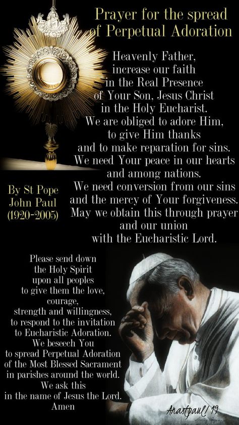 Adoration Catholic, Holy Spirit Prayer, Holy Eucharist, Catholic Beliefs, Eucharistic Adoration, Novena Prayers, St John Paul Ii, Saint Quotes Catholic, Spiritual Prayers