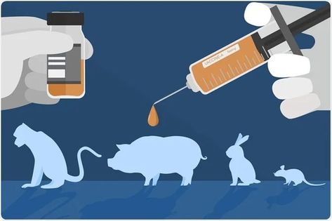 Learn verified facts about the animals Animal Experiments, Academic Vocabulary, Vocabulary Practice, Live Animals, Clinical Research, Healthcare System, Business Presentation, Doctor Strange, Web Banner