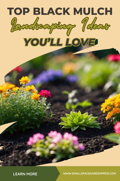 Looking for ways to elevate your garden's aesthetics? Black mulch is a fantastic choice for a sleek, modern look that makes plants pop while providing essential soil benefits. This guide offers inspiring black mulch landscaping ideas that will help you enhance your outdoor space, improve moisture retention, & reduce weed growth. Whether you're revamping flower beds or creating striking pathways, black mulch can transform your garden. #Landscaping #BlackMulch #GardenDesign #GardeningTips Black Mulch Landscaping Ideas, Black Mulch Landscaping, Mulch Landscaping Ideas, Rubber Mulch, Mulch Landscaping, Wood Mulch, Minimalist Garden, Organic Mulch, Soil Improvement