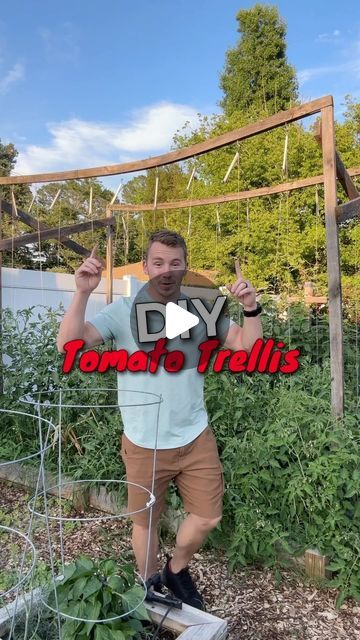 Philip Longo | Gardening Coach on Instagram: "DIY Tomato Trellis!
I have LOVED using the lean and lower tomato trellis.
In past years I have grown my plants and pruned them to a central leader. This allowed me to grow my tomato plants only 1ft apart, and grow 9 different plants in a 10 ft long bed.
YES I have been growing 18 different tomato plants on these 2 trellises in the past. 
This year I’m doing something a little different. I’m growing 4 of my plants to a main leader and 2 suckers so they will have 3 main stems producing fruit. I’ve found the varieties I love and I’m running with them. 🍅
I hope this tomato trellis helps you grow even more delicious homegrown tomatoes!" Diy Tomato Trellis, Tomato Trellis, Long Bed, Yes I Have, Tomato Plants, Instagram Diy, Different Plants, Doing Something, Tomatoes