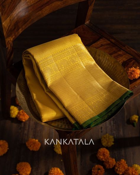 Yellow Silk Saree, Saree Kanchipuram, Peacock Motifs, Brocade Saree, Silk Saree Kanchipuram, Sari Blouse Designs, Tissue Saree, Saree Designs Party Wear, Yellow Saree