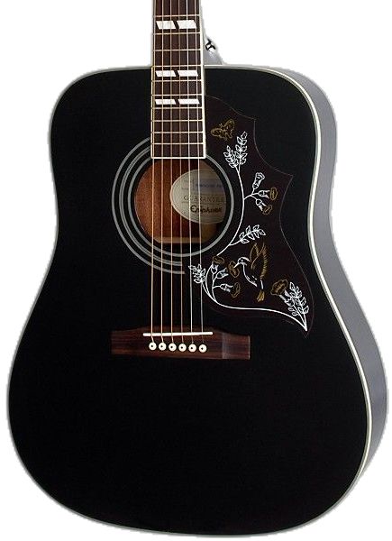 Hummingbird Guitar, Hummingbird Artwork, Guitar Center, Acoustic Electric Guitar, Acoustic Guitar, Travel Style, Electric Guitar, Lowest Price, Guitar