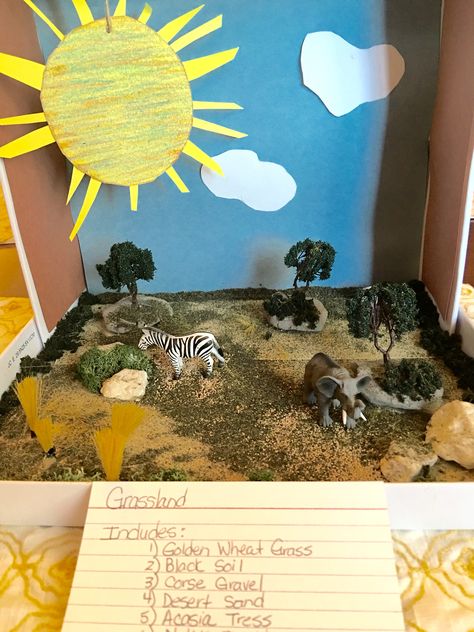 Biome Grassland project 4th grade.                                                                                                                                                                                 More Grassland Project, Savannah Habitat, Ecosystems Diorama, Giraffe Habitat, Ecosystem Project, Habitat Diorama, Savanna Biome, Grassland Biome, Biomes Project