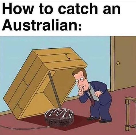 Australia Stereotypes, Australian Memes Funny, Aussie Meme, Australia Meme, Aussie Memes, Funny Aussie, Australian Memes, Meanwhile In Australia, Funny Australian