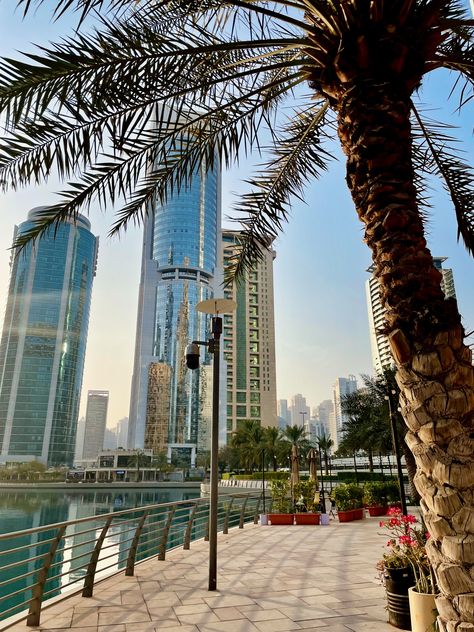 Dubai skyscrapers with glass windows and palm tree Dubai Photoshoot, Dubai Skyscraper, Sunny Morning, Spring Morning, Dubai Marina, Exotic Holiday, Travel Diaries, Beautiful Lakes, Travel Diary