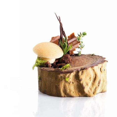 Bart de Gans en Instagram: “Sweet Wood #new #dessert #design #inspired #by #nature #mushroom #decoration #made #chocolate #love #foodlover #foodphotography…” Michelin Dessert, Autumn Dessert, Dessert Design, Fancy Desserts Recipes, Fine Dining Desserts, Design Inspired By Nature, Pastry Design, Dessert Plating, Fine Dining Recipes