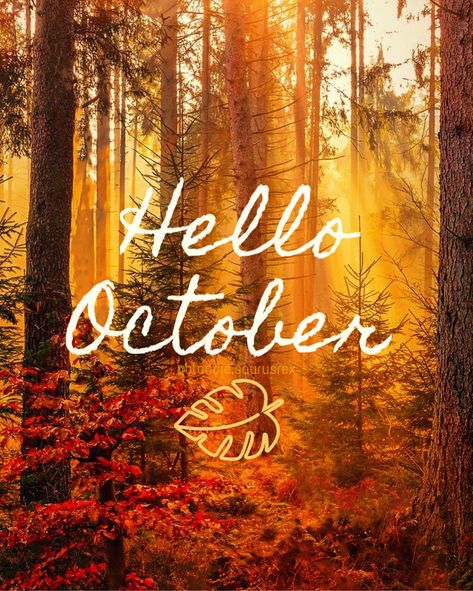 Hello October, Surprise Me, Best Quotes, Quotes