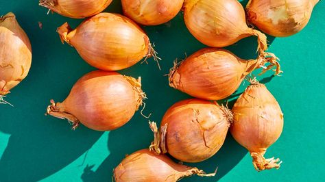 Onions 101: Nutrition Facts and Health Effects Natural Remedies For Boils, Home Remedy For Boils, Onion Benefits, Onion Benefits Health, Types Of Onions, Simple Nutrition, Yellow Onion, Eye Health, Health Facts