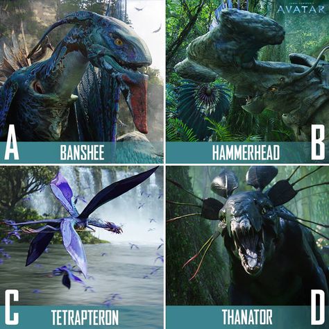 Animals of Pandora | Avatar Fan Art Avatar, Avatar Photo, Avatar Film, Avatar Animals, Blue Avatar, Avatar James Cameron, Avatar Films, Avatar Fan Art, Pandora Avatar