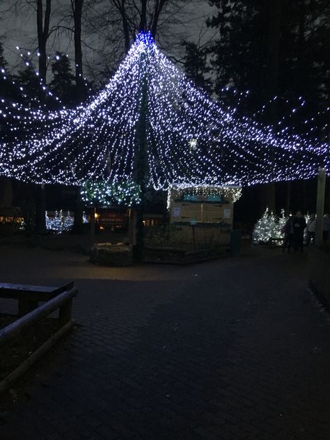 Center Parcs Winter Wonderland, Longleat Centre Parcs Christmas, Center Parcs Longleat, Centre Parcs, Centre Parks, Center Parcs, Happy Winter, Winter Onederland, Winter Vibes, Idea Board