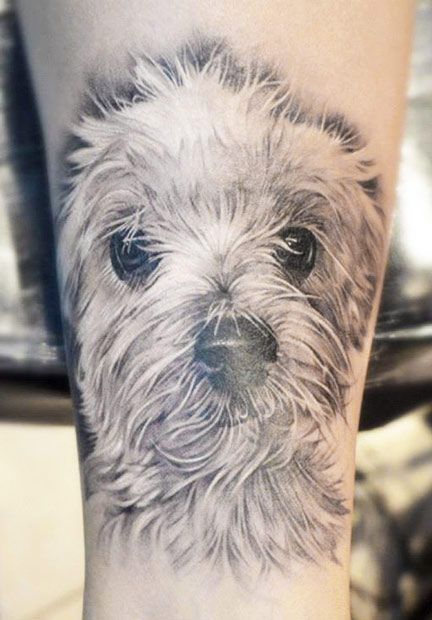 ive always wondered how possible it would be for me to get a tattoo of my dog, Barney, and have it actually look like him rather than every other Bedlington terrier. Scruffy Dog Tattoo, White Dog Tattoo, Havanese Puppies For Sale, Dog Memorial Tattoos, Pawprint Tattoo, Animals Tattoo, Memorial Ideas, Sick Tattoo, Tattoo Skin