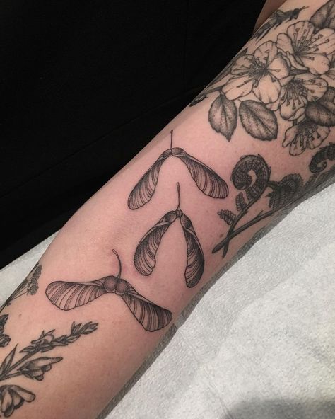 Squash Tattoo, Amaranth Tattoo, Maple Key Tattoo, Conker Tattoo, Pepper Plant Tattoo, Farming Tattoos Ideas, Cool Insect Tattoos, Cattails Tattoo, Maple Branch Tattoo