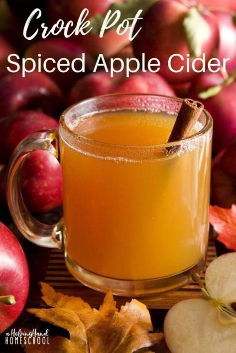 Crock Pot Apple Cider, Country Cocktails, Crockpot Apple Cider, Apple Cider Recipe, Spiced Apple Cider, Cider Recipe, Pot Luck, Hot Apple Cider, Budget Tips