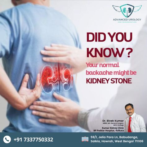 Did you know? Your normal backache might be a kidney stone! 🔍 Dr. Bivek Kumar sheds light on the surprising connection between back pain and kidney stones. . 📱 : +91 7337750332 . 🌎Visit: advancedurologyandregeneration.com . 🌎 www.instagram.com/dr.bivek_kumar/ . . #DrBivekKumar #Urologist #WestBengal #BestUrologistInHowrah #UrologyExpert #KidneyStones #BackPain #HealthAwareness #KidneyHealth #PainManagement Hotel Marketing Design, Healthcare Ads, Healthcare Advertising, General Medicine, Health Ads, Grocery Ads, Pediatric Surgery, Hospital Marketing, Kidney Stone