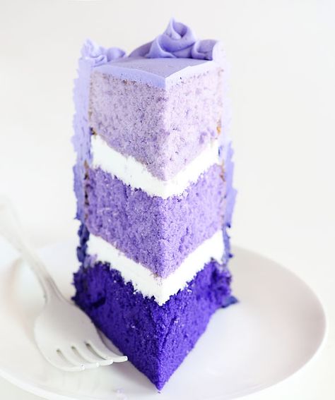 You won't believe how easy this cake is... one tip and three colors is all it takes! Leopard Cake, Cake Purple, Purple Cakes Birthday, I Am Baker, Colorful Desserts, Nice Recipes, Purple Cakes, Ombre Cake, Ruffle Cake