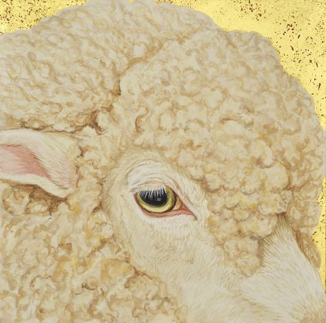 Lamb Eyes, Sheep Eyes, Animals Eyes, Ib Art, Animal Eyes, Photos Of Eyes, Desktop Wallpaper Art, I'm Bored, Ap Art