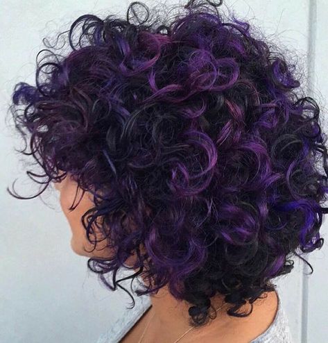 Short Curly Hair With Purple Highlights, Natural Curly Purple Hair, Short Curly Hair Purple Highlights, Curly Violet Hair, Purple Hair Curly Short, Red Purple Curly Hair, Purple Balayage Curly Hair, Curly Purple Highlights, Short Purple Curly Hair