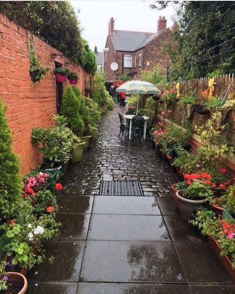 Alleyway Garden, Alley Garden, Community Gardens, Still In Love, Back Gardens, Local Community, Community Gardening, Green Garden, Back Garden