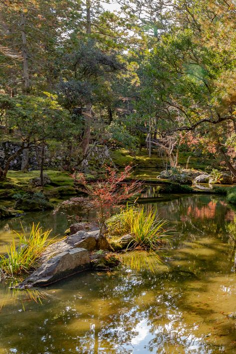 Kokedera - Moss Temple, Kyoto Moss Temple, Art Landscapes, Fantasy Art Landscapes, Great Places, Kyoto, Fantasy Art, Temple, Japan, Art