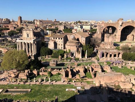 Palatine Hill, Rome Palatine Hill Rome, Palatine Hill, Croatia, Rome, Dolores Park, Places To Go, Social Media, Italy, House Styles