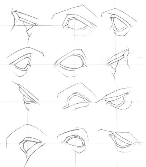 Eye Guidelines Drawing, Anatomy Of Eye Drawing, Eyes Proportions Drawing, Eye Structure Drawing, Anatomy Drawing Tutorial, Drawing Human Anatomy, Eye Anatomy For Artist, Eyes Expression, Loomis Method