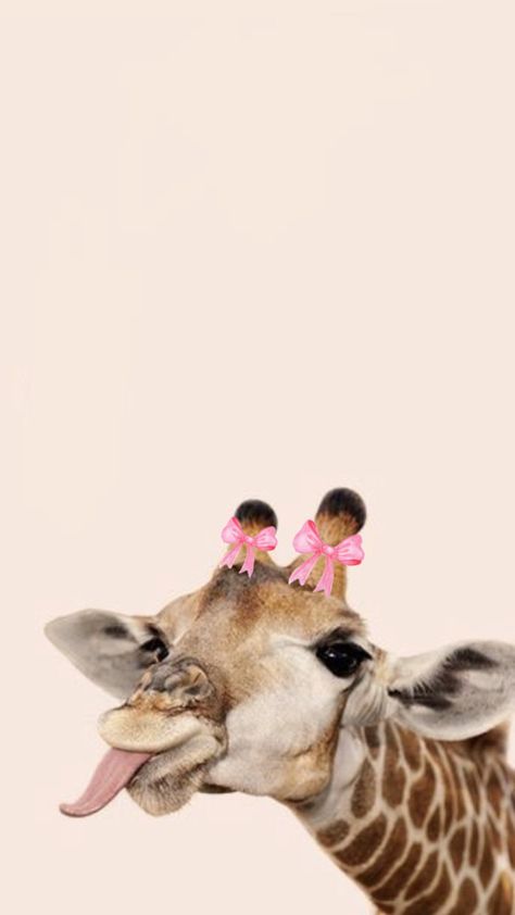 Giraffe Pictures, Pink Glamour, Bow Aesthetic, Disney Cuties, Aesthetic Phone Wallpaper, Cute Summer Wallpapers, Angel Wallpaper, Shirt Logo Design, Cute Giraffe