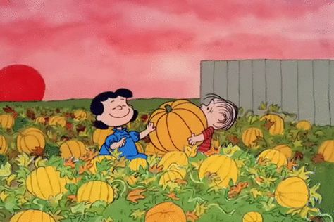 Peanuts halloween charlie brown great pumpkin its the great pumpkin charlie brown Charlie Brown Wallpaper, Peanuts Thanksgiving, Peanuts Wallpaper, It's The Great Pumpkin Charlie Brown, Peter Pumpkin, Charlie Brown Thanksgiving, Great Pumpkin Charlie Brown, Pumpkin Eater, It's The Great Pumpkin