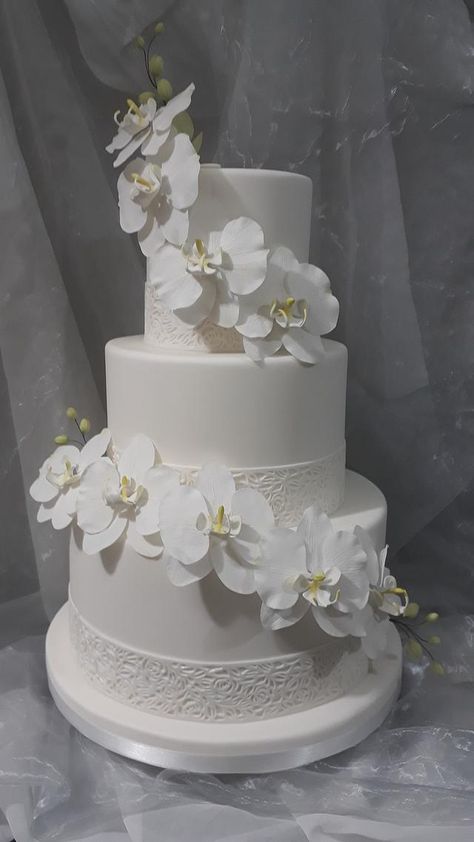 Orchid Wedding Cake, White Orchid Wedding, White Orchids Wedding, Wedding Cake Centerpieces, Wedding Cake Options, Wedding Cake Cookies, Country Wedding Cakes, Black Wedding Cakes, Fresh Flower Cake