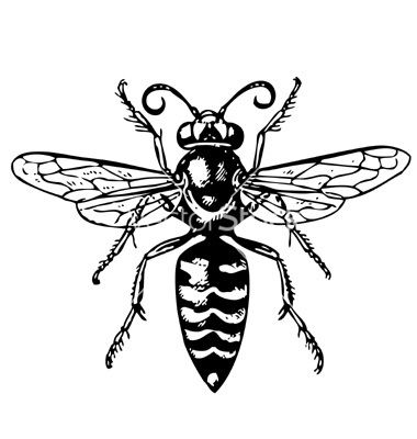 Wasp Wasp Tattoo, Insects Jewelry, Random Tattoos, Insect Tattoo, Tattoo Bracelet, White Ornaments, Desenho Tattoo, Bee Print, Ink Ideas