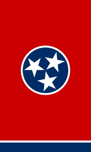 Tennessee flag template for use to make sheet cake Tennessee Wallpaper, Tennessee Tattoo, Tennessee Tristar, Rocky Top Tennessee, Tennessee Flag, Flag Template, Hawaii Pictures, Flag Tattoo, Tri Star