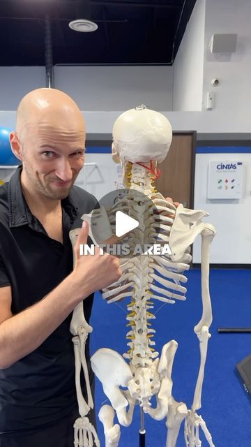 Zac Cupples on Instagram: "Ever wonder why that knot by your shoulder blade is more dependable than your day one? 

The hidden cause is the shape of your ribcage.

When muscles on the back and front of the ribcage get tight they make the ribcage smaller front to back.

Opening of the ribcage front to back will get these tight muscles to relax.
 Using gravity to change ribcage shape, therefore loosening muscles front to back, is a great way to get rid of tight spots.  The easiest way change ribcage shape with gravity is by laying on a yoga block like the exercise from this video. 

#physicaltherapist #physicaltherapists #strengthcoach" Yoga Block, Shape Of You, Rib Cage, The Shape, Gravity, Muscles, Knot, Yoga, Wonder