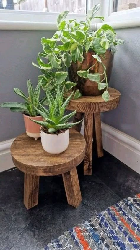 Bohemian Plant Shelf, Table For Plants Interiors, Stools As Plant Stands, House Plants Stands, Corner Stool Decor, Plants Set Up, Plant Stool Indoor, Indoor Plants Decor Apartments, Wood Stool Decor