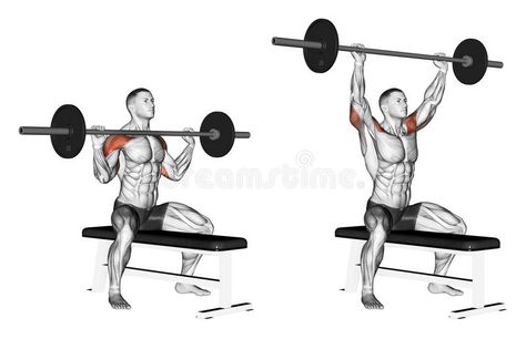 Barbell Shoulder Press, Shoulder Workout Routine, Barbell Press, Best Shoulder Workout, Leg Workout At Home, Military Press, Body Coach, Overhead Press, Shoulder Press