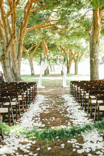 Garden ceremony arches and backdrops; wedding ceremony ideas; outdoor weddings; wedding decorations. #weddings #weddingideas Outdoor Wedding Ceremony Aisle, Courtyard Wedding, Wedding Isles, Rose Petals Wedding, Aisle Runner Wedding, Wedding Ceremony Ideas, Utah Wedding Photography, Aisle Flowers, Wedding Petals