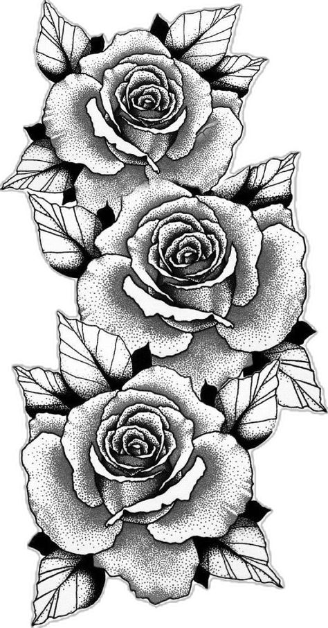 3 Roses Drawing, Rose Leaf Drawing, Legs Tattoo Ideas, 3 Roses Tattoo, Flower Sketching, Woman Body Sketch, Shading Practice, Legs Tattoo, Vine Drawing