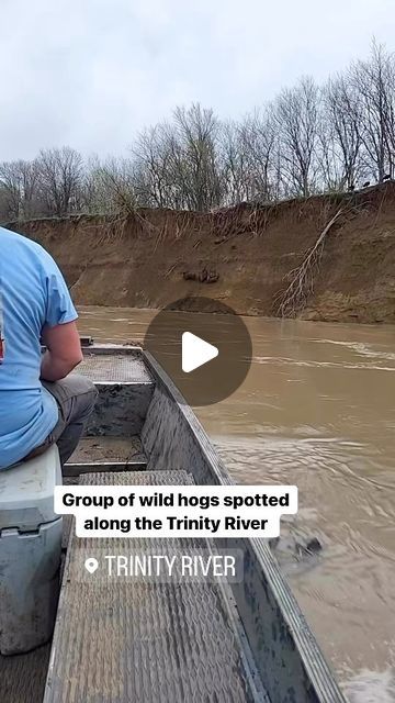 Dallas Texas TV on Instagram: "Group of wild hogs spotted along the Trinity south of Dallas

(🎥 YouTube: @DennisBohannan)" Wild Hogs, Wild Hog, The Trinity, Dallas Texas, Dallas, Texas, Tv, On Instagram, Instagram