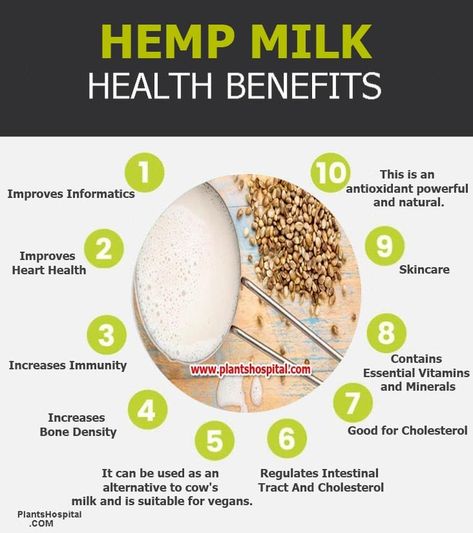 Hemp milk is a herbal drink formed by a combination of extract and water extracted from ground hemp seeds. It can be used as an alternative to cow’s milk and is suitable for vegans.  Hemp milk is a type of milk that has a very high nutritional value. It contains plenty of vitamins, amino acids, and minerals. The milk has a silky smooth texture and is white. It tastes like nuts and is slightly bitter. But it can be sweetened with sweetener or sugar. #health #benefits #of #hemp #milk #hempmilk Hemp Milk Benefits, Hemp Hearts Recipes, Hemp Seed Benefits, Hemp Seed Milk, Hemp Oil Benefits, Herbal Drink, Olivia Bottega, Milk Benefits, Hemp Milk