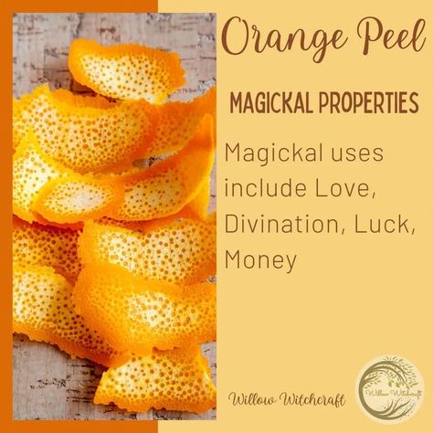 °•☆𝖂𝖎𝖑𝖑𝖔𝖜 𝖂𝖎𝖙𝖈𝖍𝖈𝖗𝖆𝖋𝖙☆•° on Instagram: "Orange Peel Magick #kitchenwitchery #kitchenwitchcraft #herbmagick🌿 #herbmagickalproperties #spells #creatingmagick #spellwork #orangepeel #orangepeelmagick #earthsgifts" Magical Properties Of Oranges, Orange Peel Witchcraft, Orange Peel Magical Properties, Yule 2023, Orange Peels Uses, Orange Peal, Magick Herbs, Hoodoo Magic, Witch Things