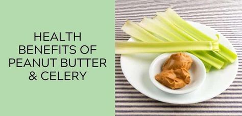 7 Health Benefits of Peanut Butter & Celery: Is it Healthy to Eat Celery with Peanut Butter? Celery With Peanut Butter, Peanut Butter And Celery, Peanut Butter Celery, Celery And Peanut Butter, Benefits Of Peanut Butter, Health Benefits Of Celery, Celery Snacks, Peanut Butter Benefits, Peanut Butter Healthy