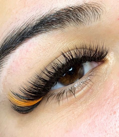 Colourful Eyelash Extensions, Yellow Eyelash Extensions, Orange Lashes Extensions, Classic Lashes With Color, Colour Eyelash Extensions, Pop Of Color Lash Extensions, Halloween Lashes Extensions, Halloween Eyelash Extensions, Yellow Lash Extensions