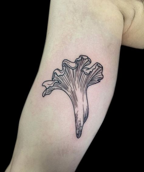 Little chanterelle mushroom. Fun times @vagabond_tattoostudio #mushroomtattoo #chanterelletattoo #fungi #linetattoo #tattoooftheday #blackworkers Chanterelle Tattoo, Places To Get Tattoos, Whimsical Tattoos, Mushroom Tattoo, Mystical Tattoos, Bright Tattoos, Mushroom Tattoos, Stylish Tattoo, Forest Tattoos