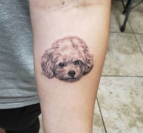 Bishon Dogs Tattoo, Bichon Tattoo Ideas, Bichon Tattoo, Bichon Frise Tattoo, Dog Ear Tattoo, Dog Outline Tattoo, Doodle Tattoos, Cavachon Dog, Small Dog Tattoos