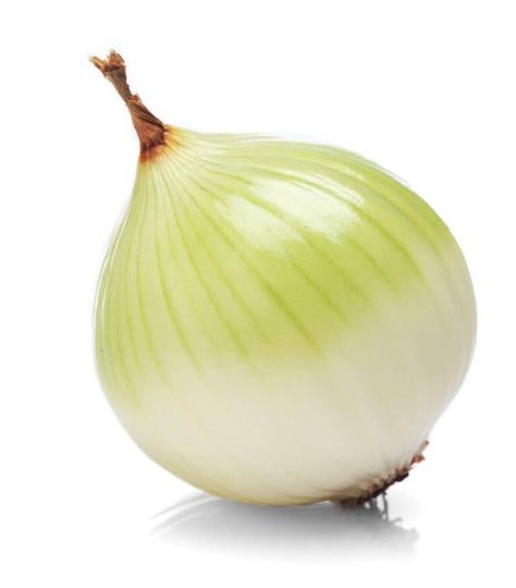 White onion on a white background Onion Types, Onion Photo, Onion Illustration Drawing, Onion Clipart, Onion Image, Cipollini Onions, Onions, Types Of Onions, Pearl Onions